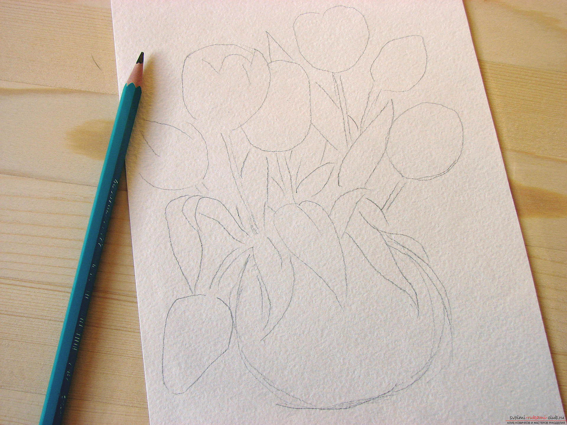 Мастер-класс по рисованию с фото научит как нарисовать цветы, подробно описав как рисуются тюльпаны поэтапно.. Фото №2